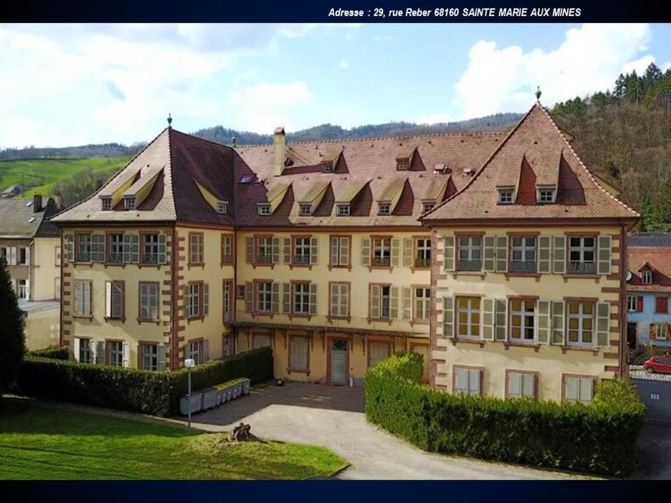 Aux Souvenirs D'Anaelle Gites 5 Personnes Sainte-Marie-aux-Mines Exterior photo
